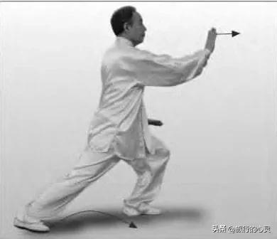 杨式太极拳野马分鬃图解，四十二式太极拳野马分鬃详解（24式太极拳图解说明和要点）