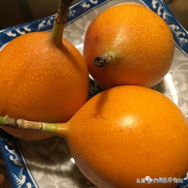 passion fruit是什么水果（土豪百香果，一斤100元）