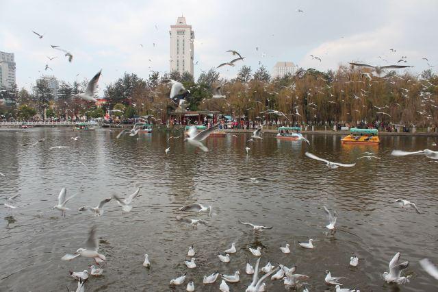 昆明一日游最佳景点一览表，昆明32个最适合一日游的免费景点（四季如春的昆明很适合旅游）