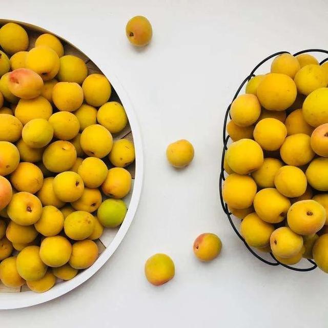 含羞的成语有哪些，含羞的诗句和成语（青梅含羞待佳人）