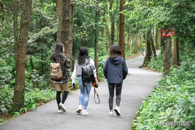 南川区十大必去景点，环金佛山178公里