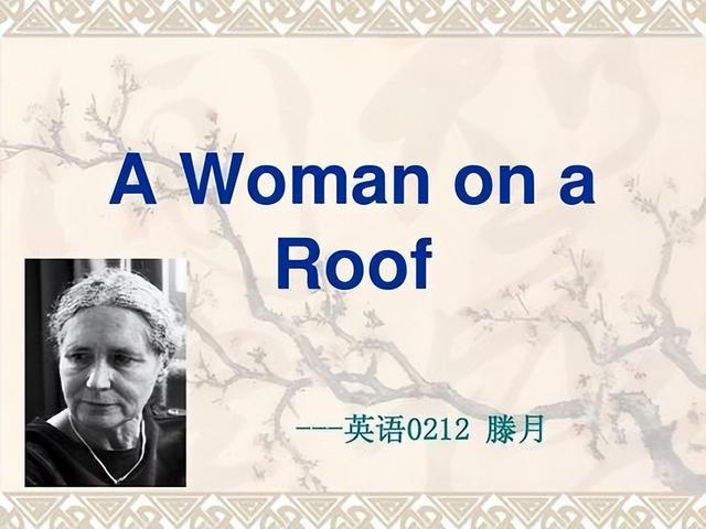 屋顶丽人故事简介，论《屋顶丽人》中多丽丝·菜辛的男女角色