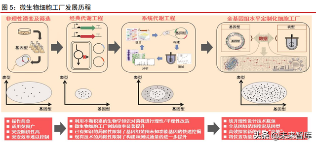 呋喃树脂化学成分，糠醛是什么（合成生物行业深度报告）