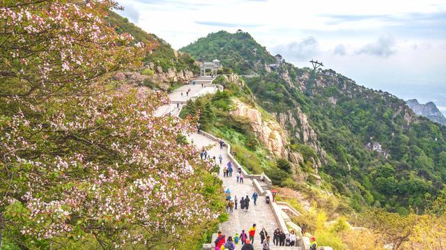 泰山好玩吗，泰山旅游攻略（此生不老，必去泰山）