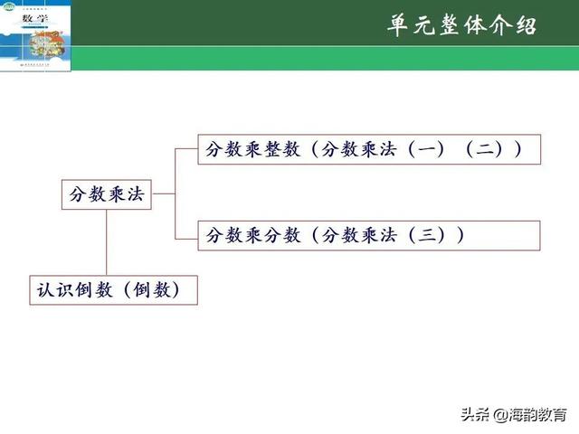 下的小学数学教材解读，“结构化视角”（海韵教育丨北师大版小学数学五年级）