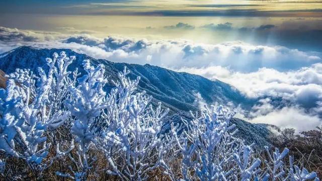 冬季金铙山，童话般的银白世界