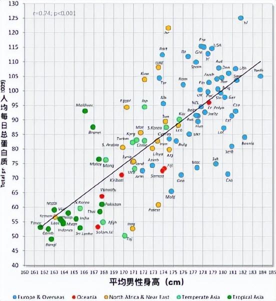 世界男性平均身高，各国男性平均身高（中国青年平均身高175.7东亚第一）