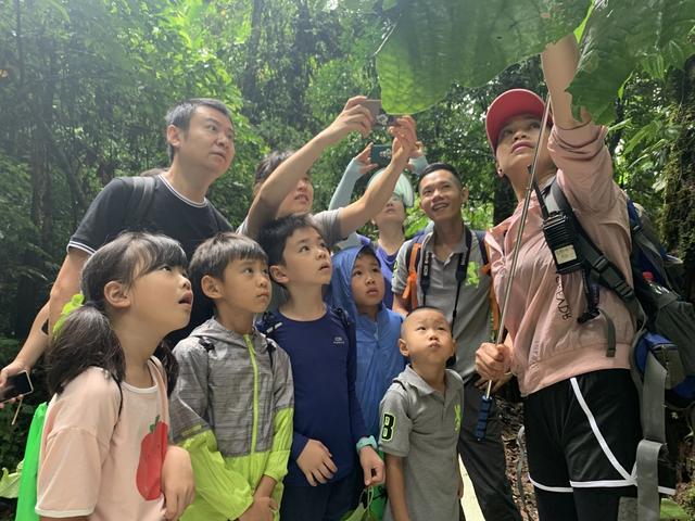 热带雨林里有什么危险动物，热带雨林有什么危险的动物（带孩子穿越雨林会不会有危险）