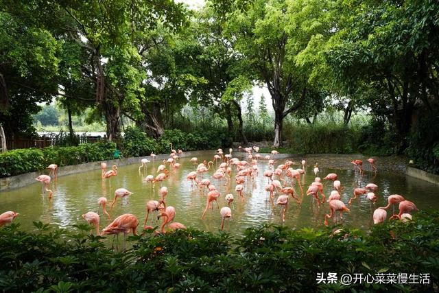 肇庆旅游景点，肇庆旅游景点大全景点排名（12个景点打卡大盘点）