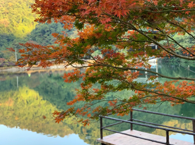 广州出发-河源2天游，野趣沟风景区，赏漫山秋枫红叶