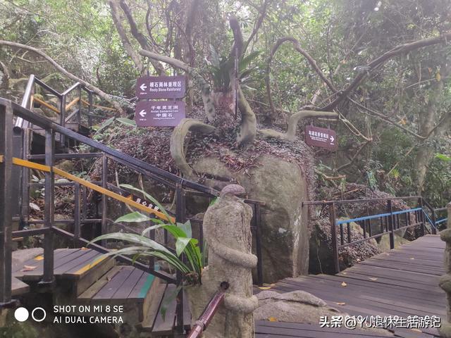 呀诺达热带雨林，呀诺达雨林文化旅游区官网（呀诺达景区探寻热带雨林奇观）