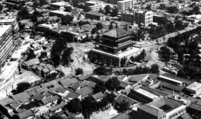 十猪九苦1983，十猪九苦1983是什么意思（深扒1983年蛇灾始末）