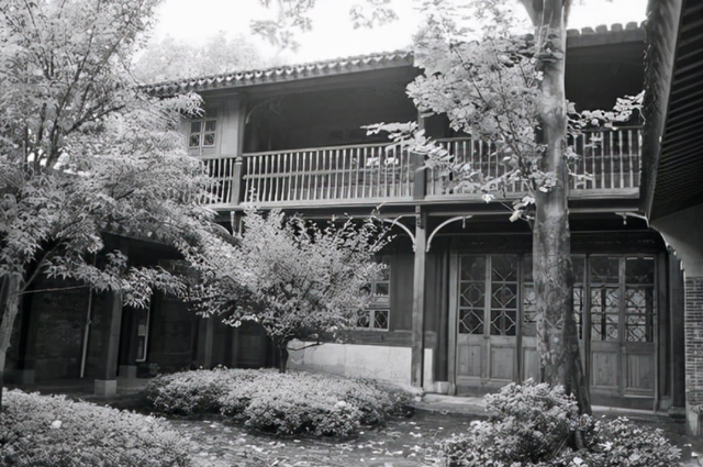 屠呦呦颁奖词100字左右，感动中国十大人物屠呦呦（研制青蒿素多年改变世界）