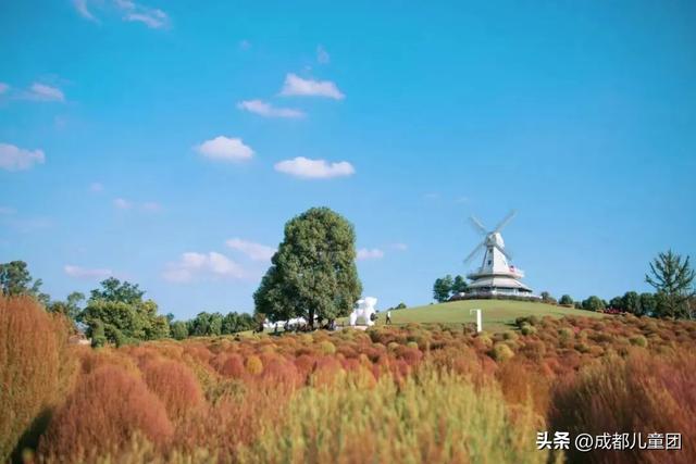 成都周边游儿童游乐园松鼠部落，2022儿童挚爱户外乐园线上评选启动