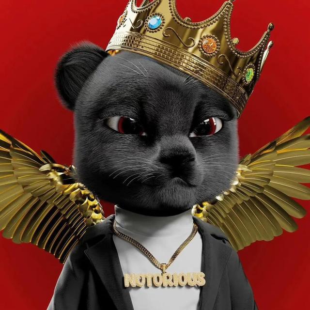 动物照片大全图片，好看的动物照片（微信高清动物头像）