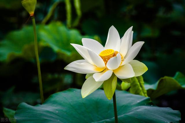 温柔到爆的神仙网名两个字，温柔到爆的神仙网名（佛系经典网名）