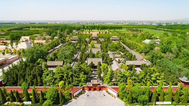 洛阳旅游景点大全，去洛阳旅游必看的五大景点（景区好评率、舒适度接近满分）