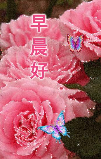 友情的句子唯美简短，友情的句子唯美简短发朋友圈（清晨唯美温馨的祝福问候语图片）