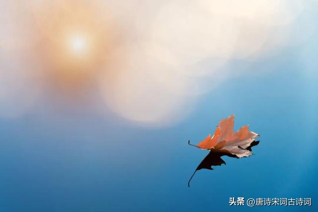 生活如此简单 幸福如此美好，生活如此简单下一句是什么（清秋，清欢图片）