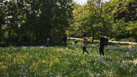 北京西山森林公园，北京西山森林公园登山路线推荐（西山国家森林公园）