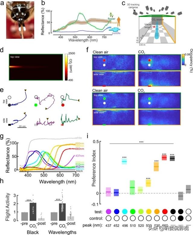 男生为啥不先表白就吻你，男生抱你亲你但没跟你表白过（看见就会发疯似地用嘴亲上你）