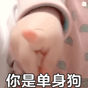 单身狗表情包，微信头像，单身狗表情包（可爱搞笑的表情包：你是单身狗）