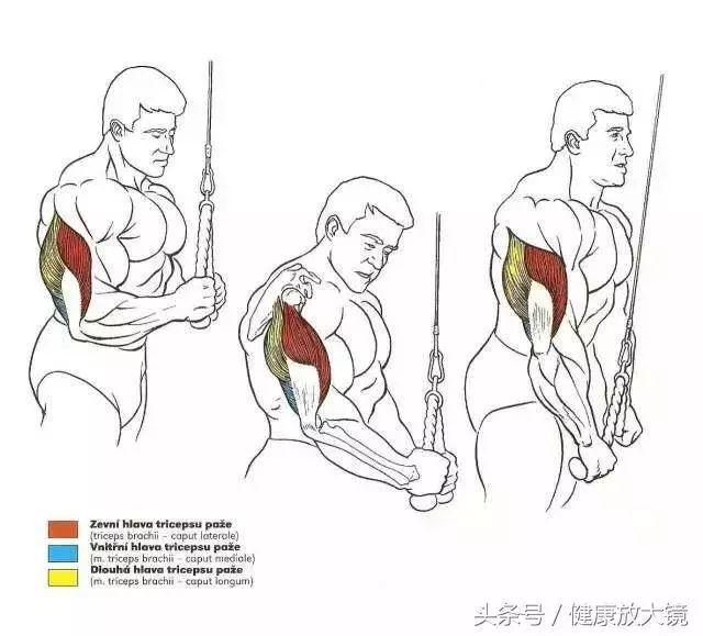 健身器械动作的指导方法，健身器械动作教学（健身房器械动作指南助力做一个“器械健身高手”）