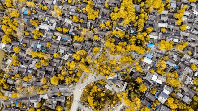 10种代表秋天的景物，秋天的景色有哪些（这10个小众绝美的秋景地）