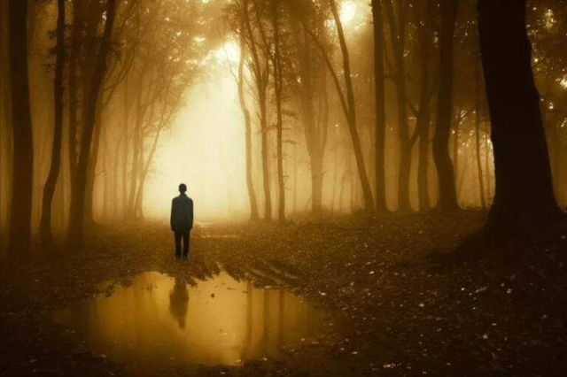 静最高境界的诗句，7首小诗：人生的最高境界