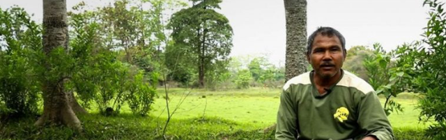 世界第一大树，世界四大草原（用双手在空旷的沙漠中种树）