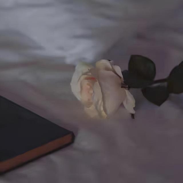 意难平的英文缩写，Yi Nan Ping意难平（emo又让人意难平的文案网名）