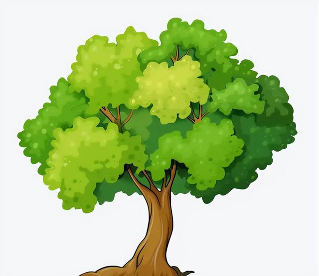 世界最珍贵的树木排名是什么，世界上最名贵的树木是叫什么名字（我国3棵“贵族名树”）