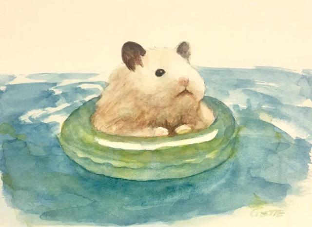 林弦：卡哇伊可爱仓鼠头像微信，林弦：卡哇伊可爱仓鼠头像（可爱的小仓鼠头像 ​​​）