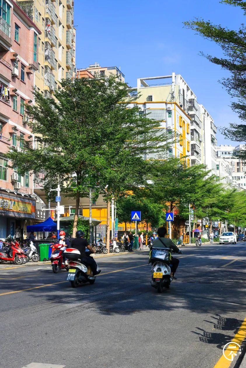 深圳北在哪个区(深圳西站在哪个区)