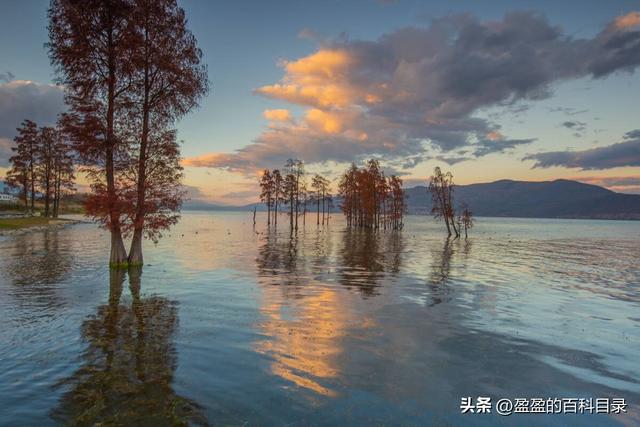 苍山门票及索道费，四十五个免门票景点（去大理寻一场风花雪月）