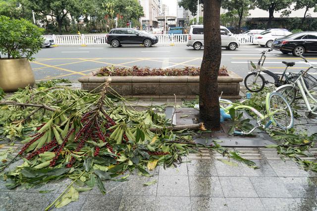 台风级（台风级别），台风的分级级别（国纳科普丨台风的成因、级别、危害和响应等级）