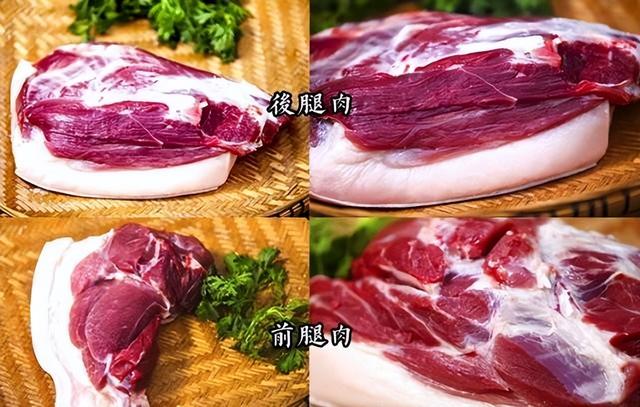 猪前腿肉跟后腿肉有什么区别，猪脚前腿后腿区别图片（分清“前腿肉”和“后腿肉”）