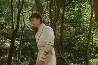 穆桂英挂帅大破天门阵，穆桂英大破天门阵发生在哪（一部反派魅力远超主角的剧）