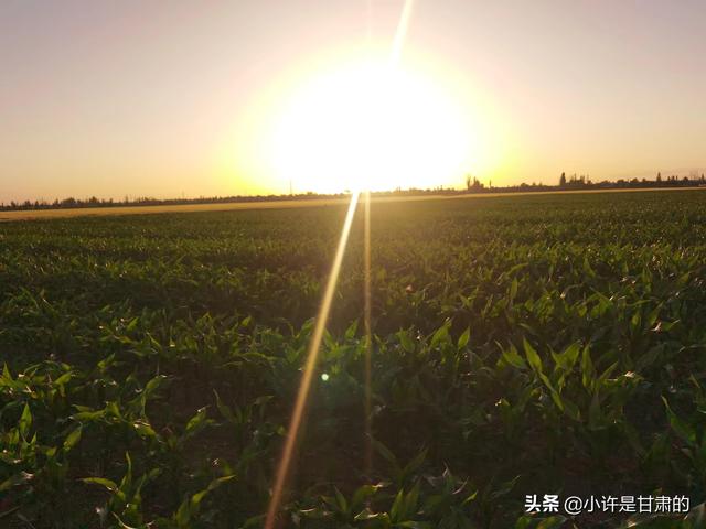 甘肃天水为什么出美女，甘肃天水出美女吗（找老公要不要找甘肃的）