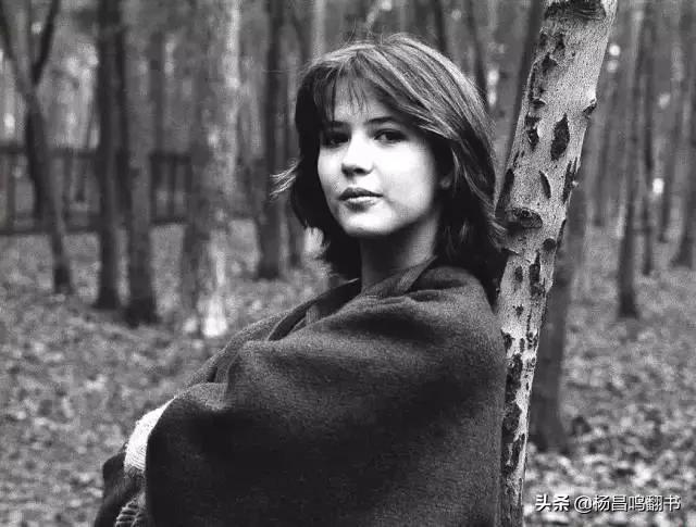 苏菲是什么，法国女人叫苏菲（苏菲是什么电视剧的女主角）