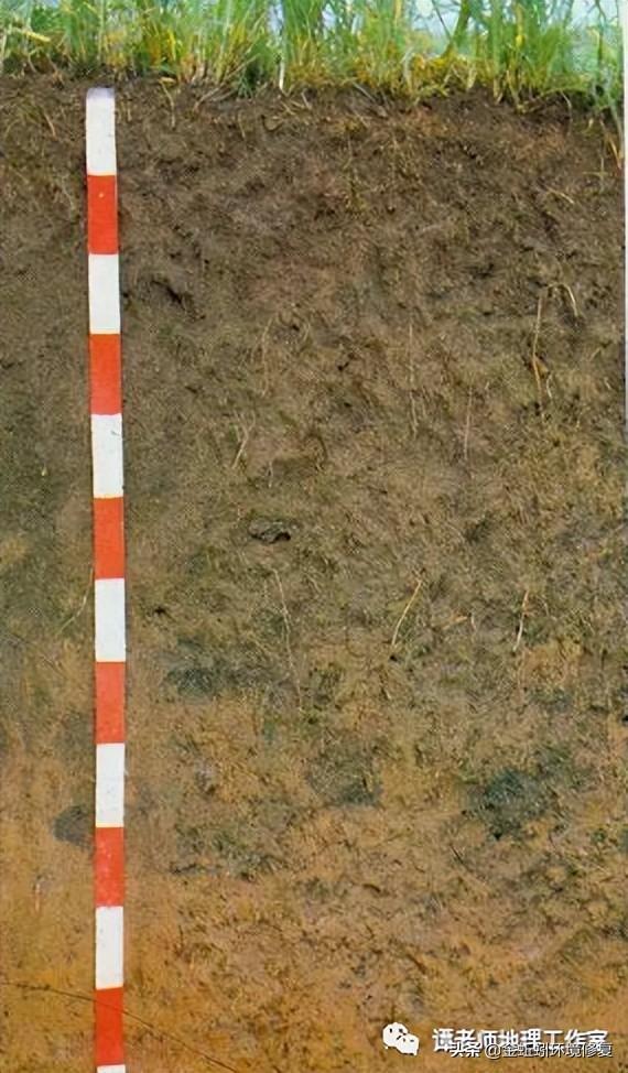 土地性质分类和用途，怎么查个人土地信息（附中国土壤的分类及分布）