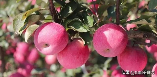 哪种形状的苹果好吃，苹果哪样的好吃（这4个地方还不错）
