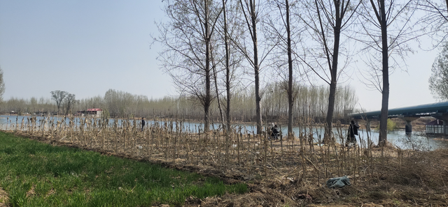 石家庄附近钓鱼地点位置，石家庄2022免费露营、烧烤、钓鱼—水乡小镇