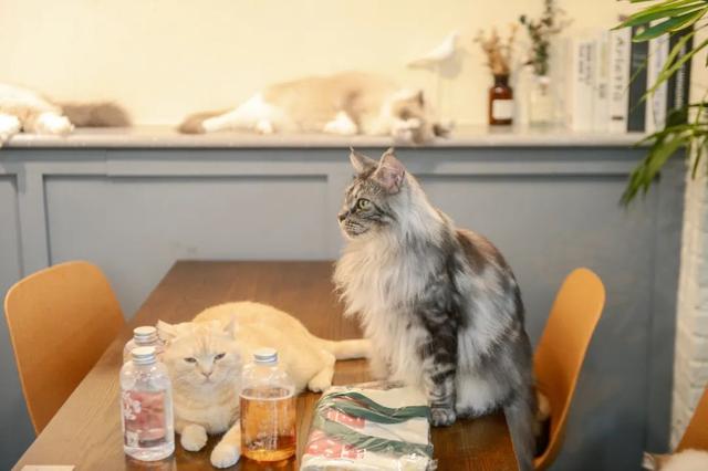 厦门宽厚里步行街的著名小吃，种草好久的厦门宽厚里美食店