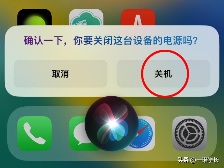 iphone关不了机按键没反应（苹果手机死机重启方法）