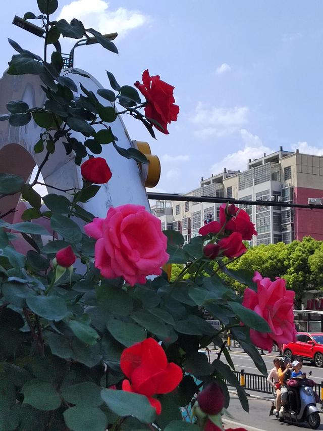 写给老师的一封信，写给老师的一封信怎么写（给老师的一封信）