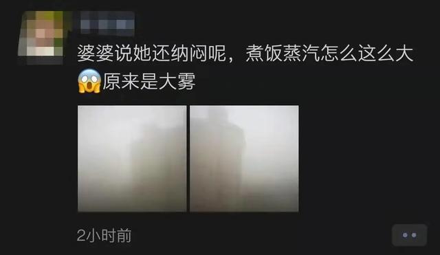 上海浦东机场大雾，上海两机场低能见度天气过程统计分析及原因探究（今天上海的雾为什么这么大）