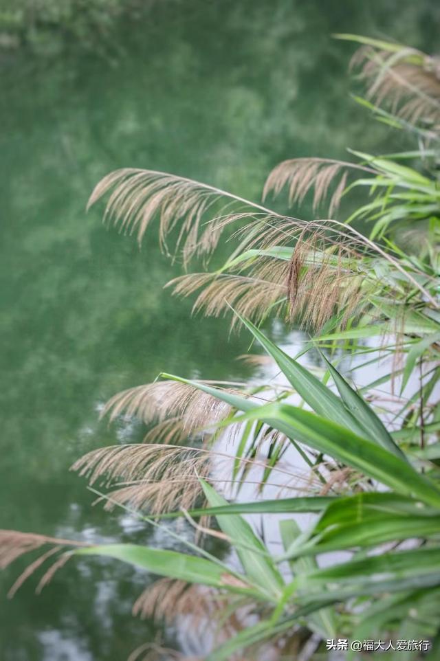 普洱市旅游景点大全，云南普洱有什么景区（发现一个适合发呆放空的好地方）