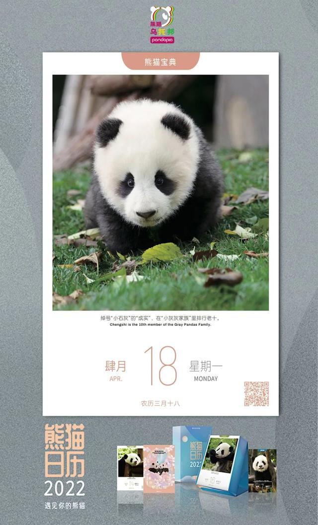 用来比喻爱情的动物，用动物比喻爱情的句子（也该成为四川人的恋爱标配）