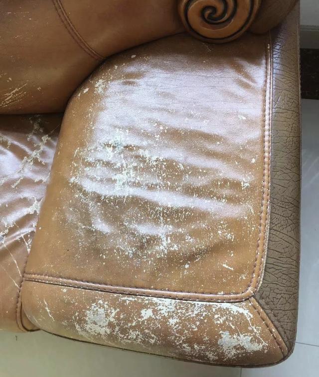 为什么不建议买真皮沙发，后悔买了皮沙发（市场上这7种沙发都不要买）